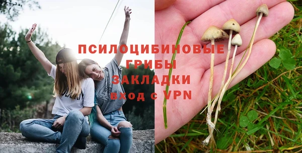 mdpv Арсеньев