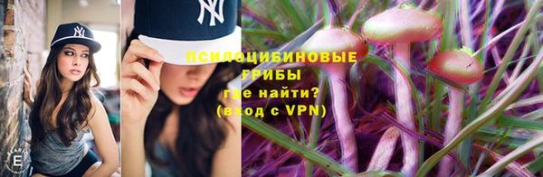 jwh Аркадак